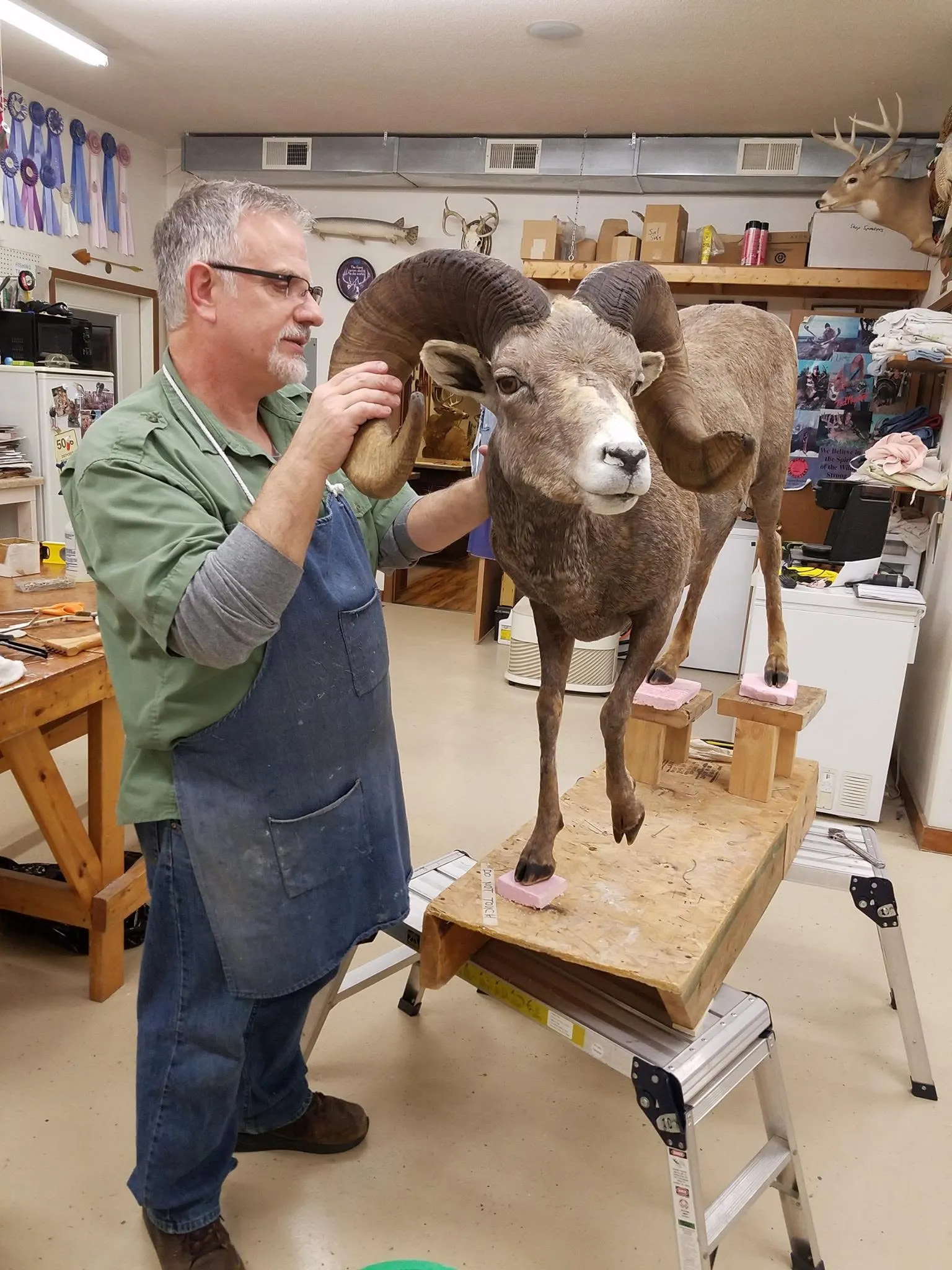 Hands holding a large antler in a taxidermy workshop.