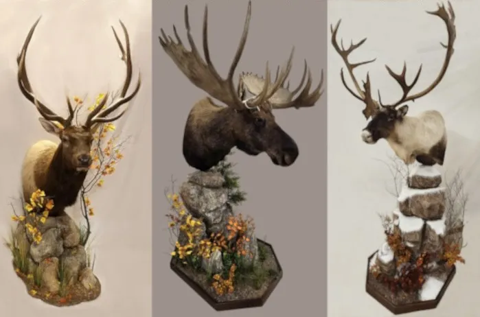 Several images of antelope and other game head mounts